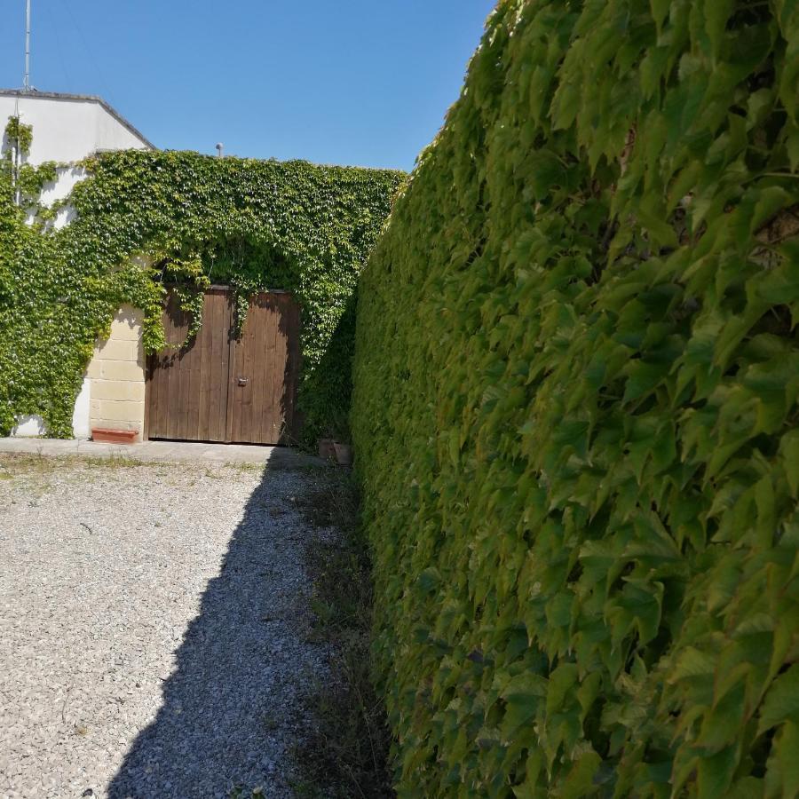 B&B Villasalento Le Cavallino di Lecce Exterior foto